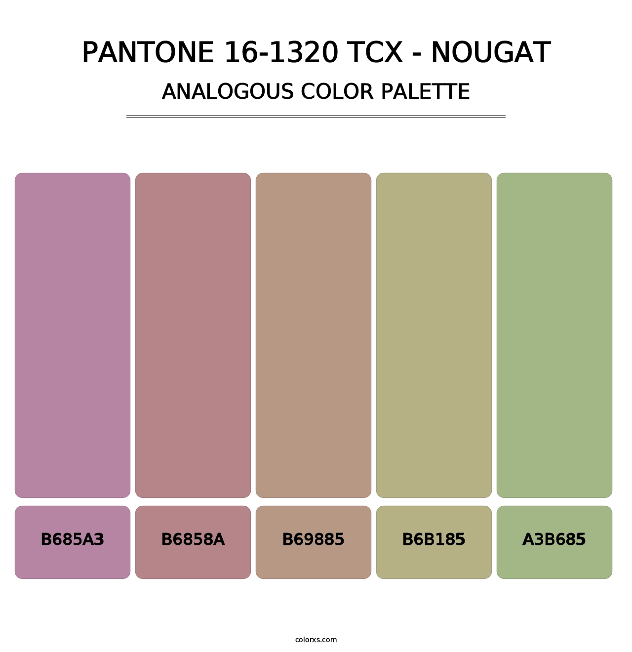 PANTONE 16-1320 TCX - Nougat - Analogous Color Palette