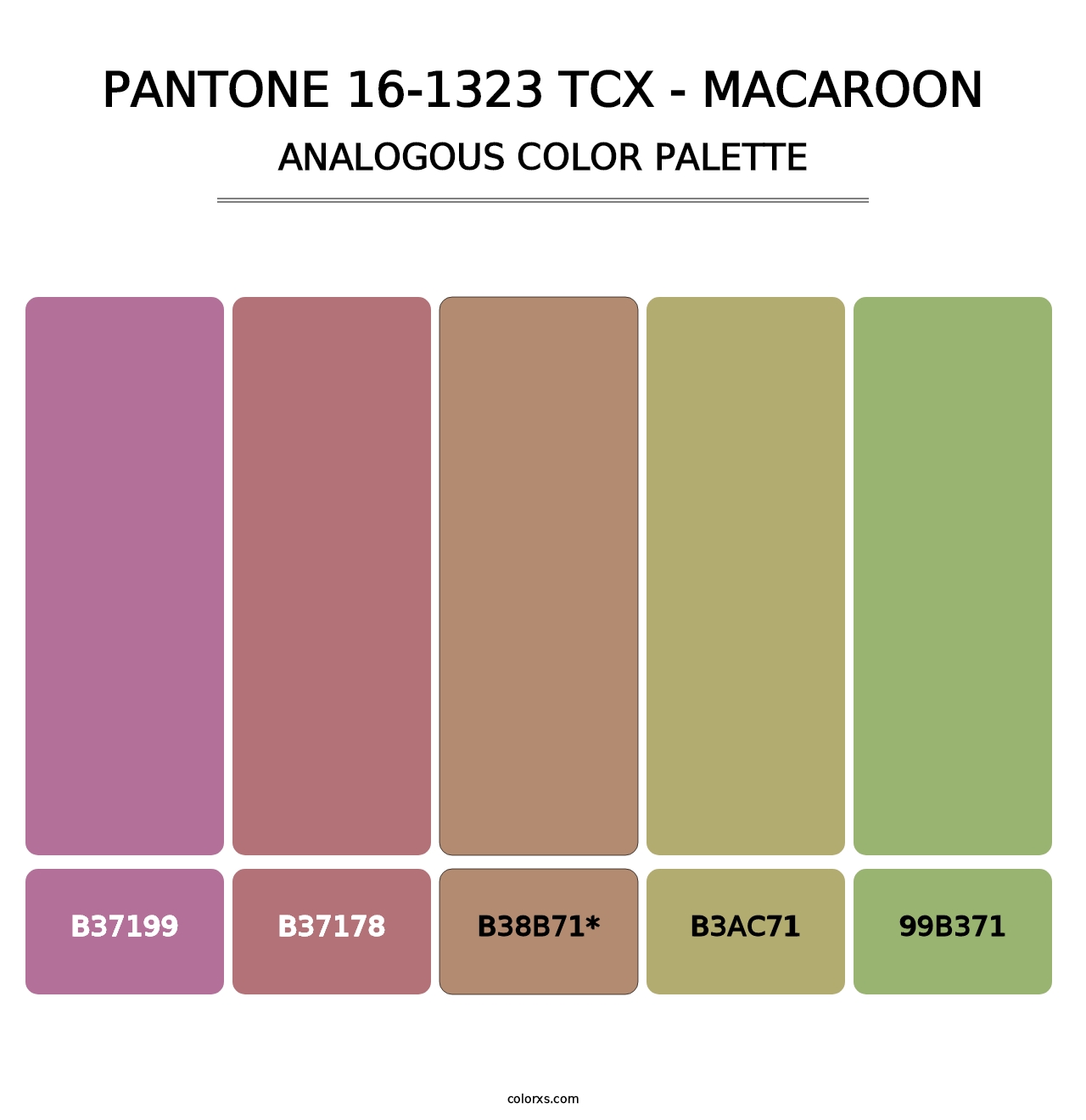 PANTONE 16-1323 TCX - Macaroon - Analogous Color Palette