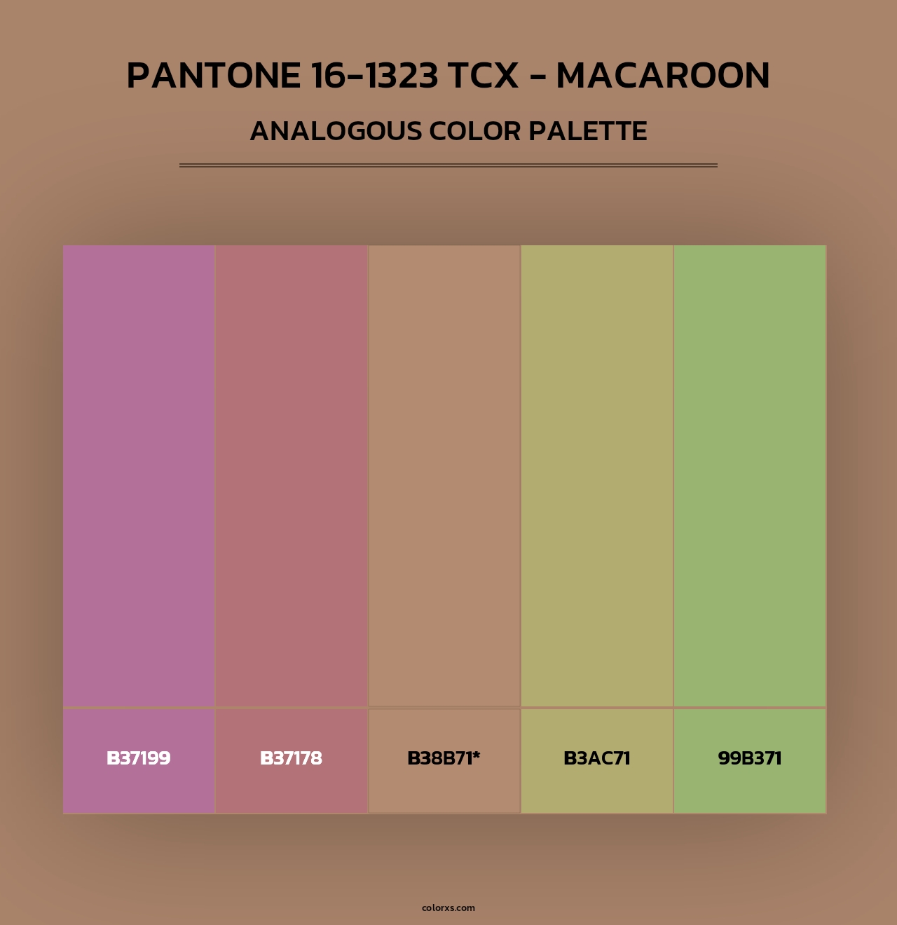 PANTONE 16-1323 TCX - Macaroon - Analogous Color Palette