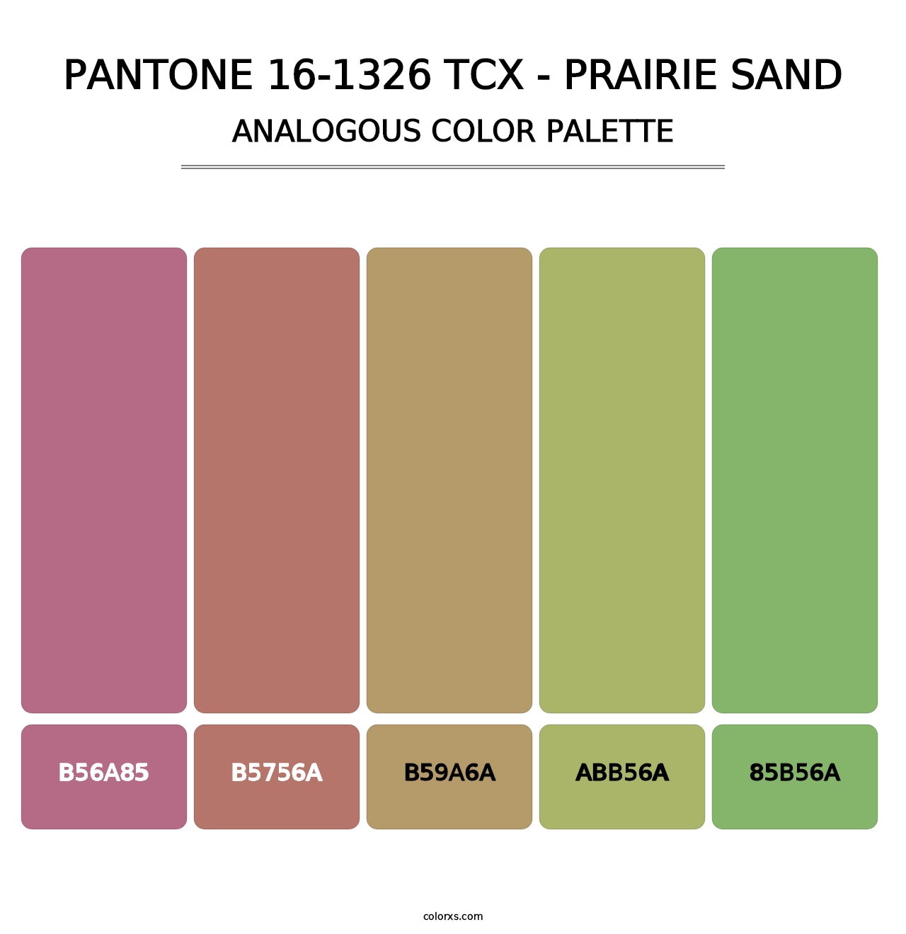 PANTONE 16-1326 TCX - Prairie Sand - Analogous Color Palette