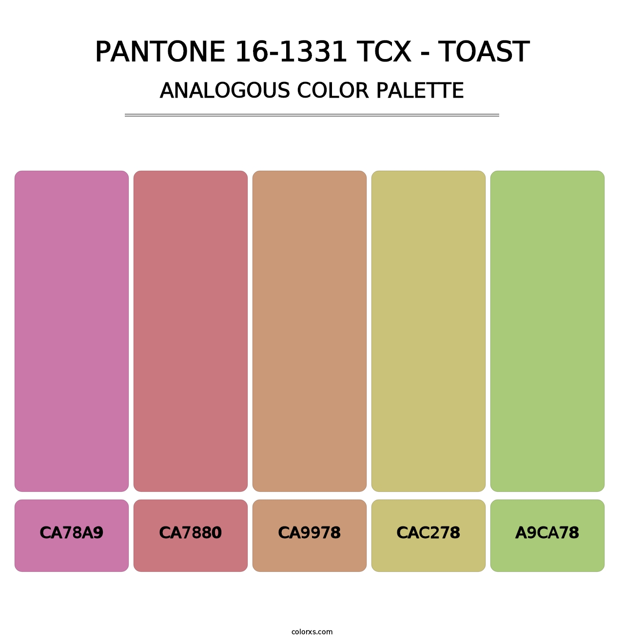 PANTONE 16-1331 TCX - Toast - Analogous Color Palette