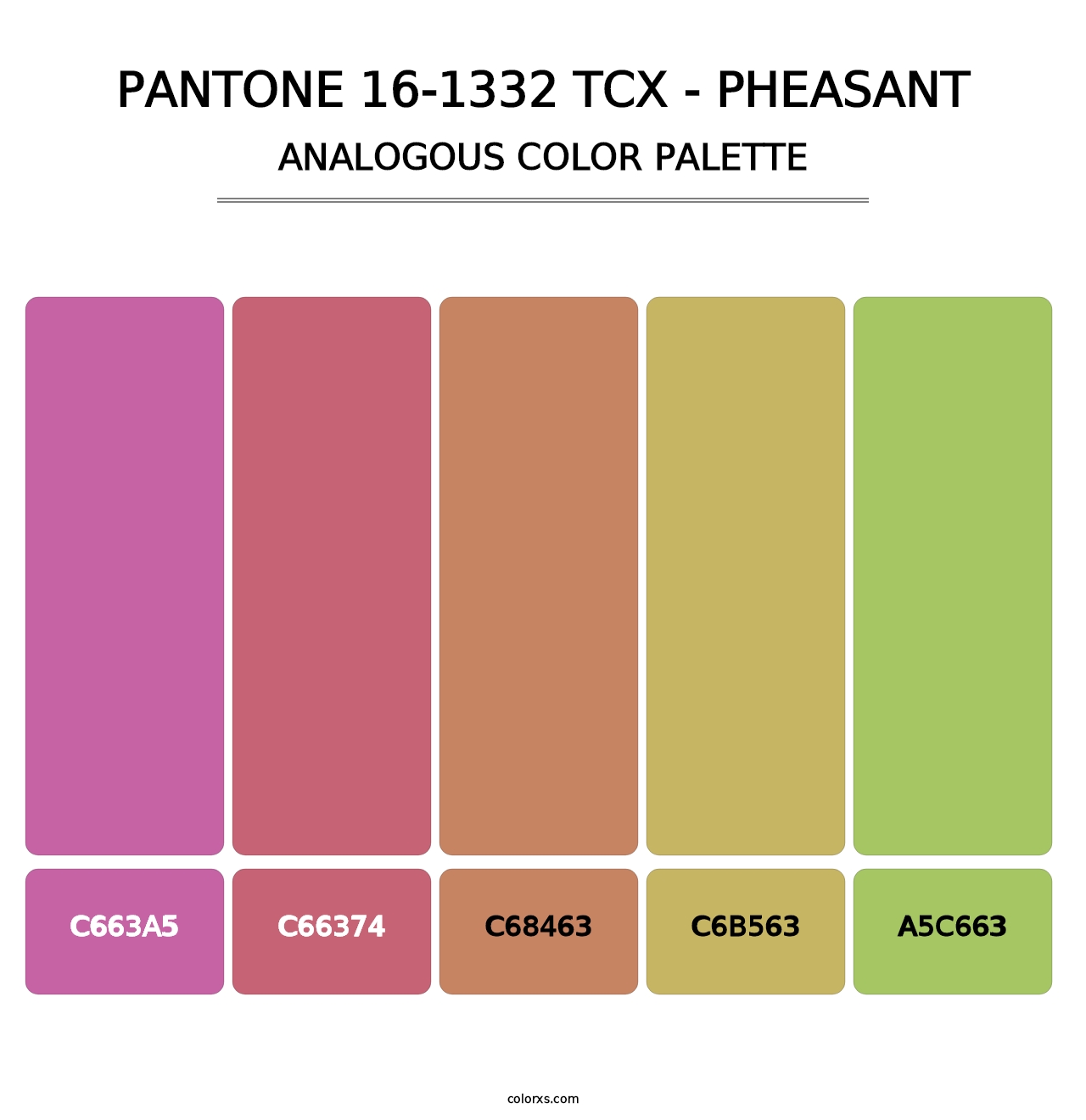 PANTONE 16-1332 TCX - Pheasant - Analogous Color Palette