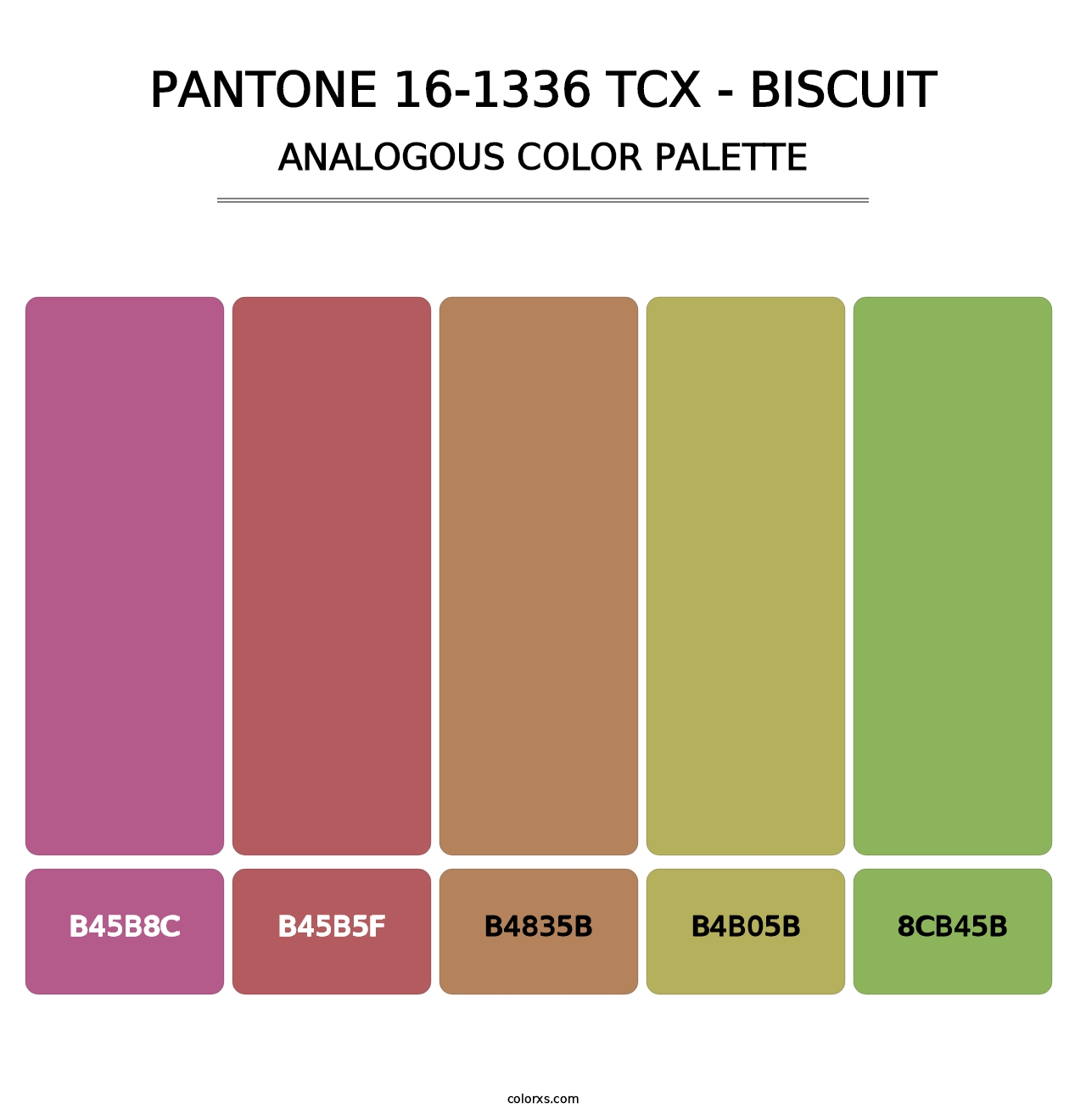 PANTONE 16-1336 TCX - Biscuit - Analogous Color Palette