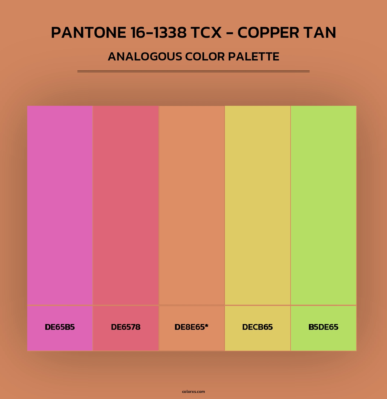 PANTONE 16-1338 TCX - Copper Tan - Analogous Color Palette