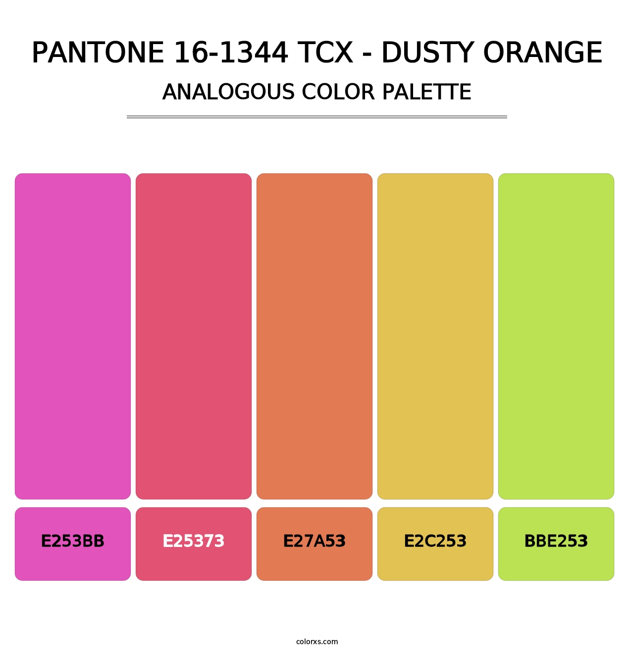 PANTONE 16-1344 TCX - Dusty Orange - Analogous Color Palette