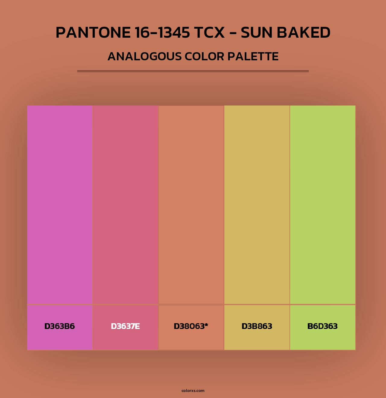 PANTONE 16-1345 TCX - Sun Baked - Analogous Color Palette