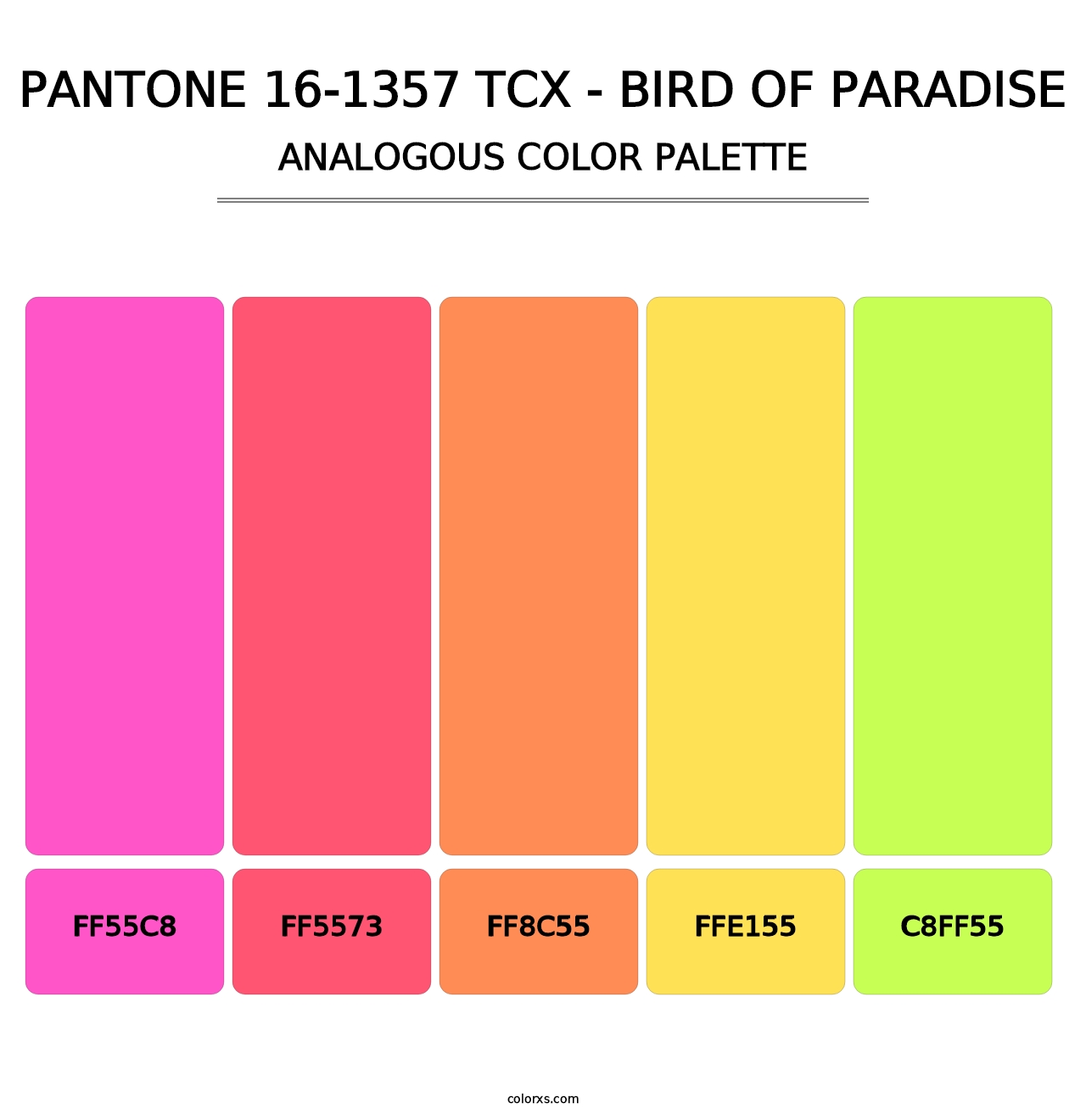 PANTONE 16-1357 TCX - Bird of Paradise - Analogous Color Palette