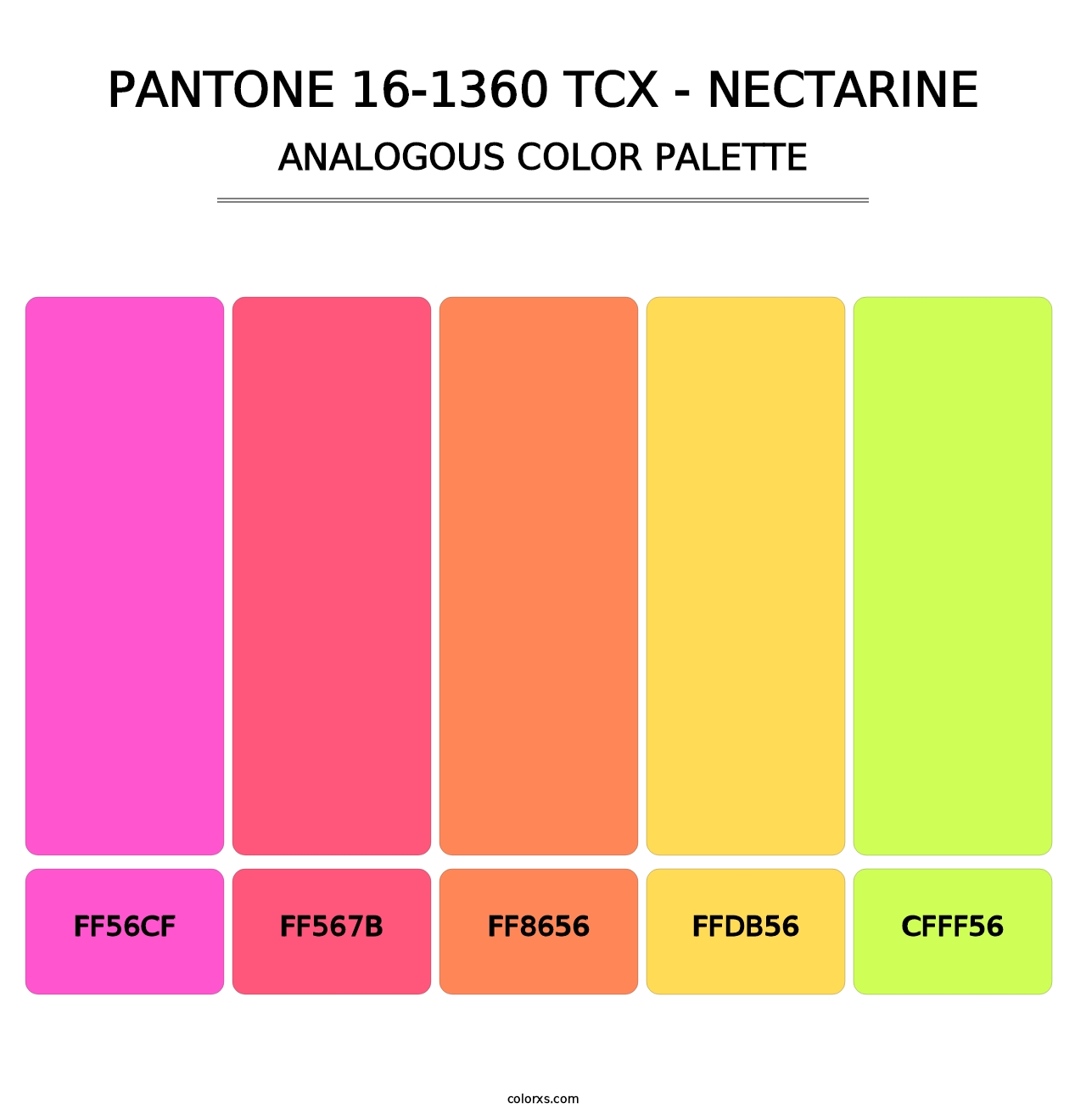 PANTONE 16-1360 TCX - Nectarine - Analogous Color Palette