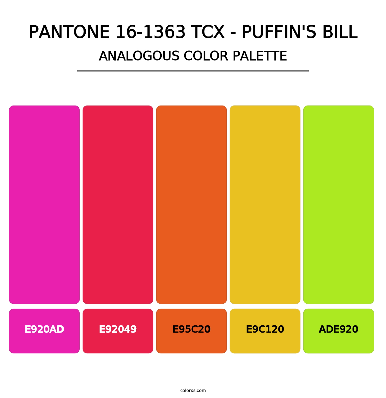 PANTONE 16-1363 TCX - Puffin's Bill - Analogous Color Palette