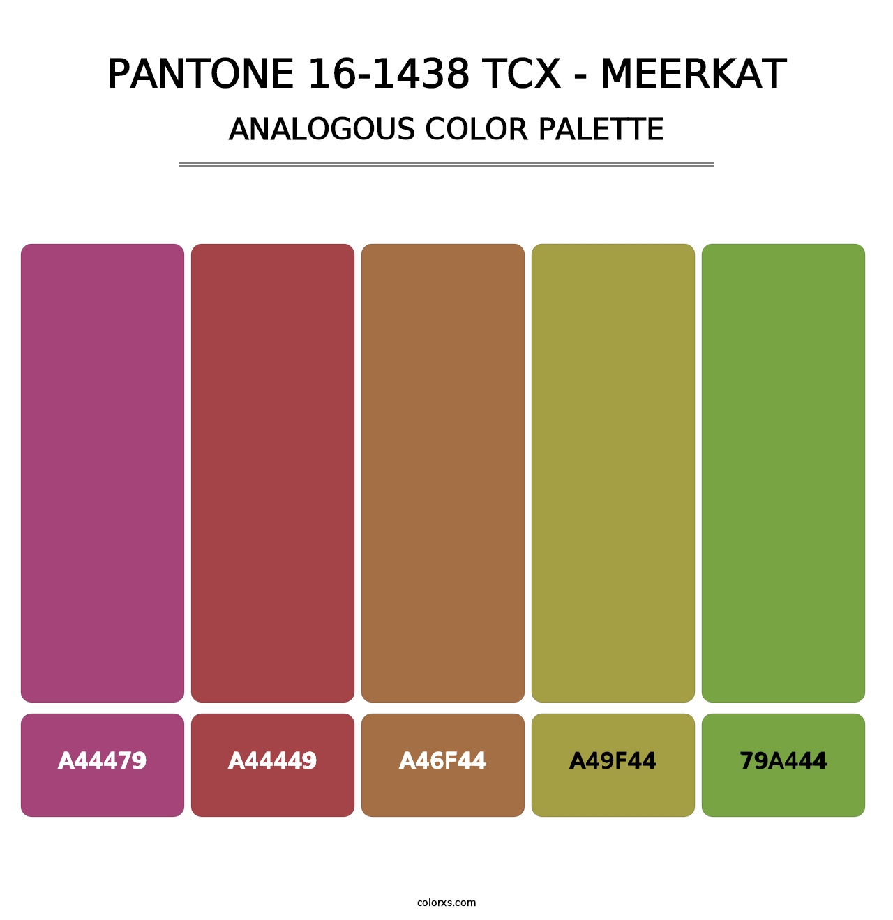 PANTONE 16-1438 TCX - Meerkat - Analogous Color Palette