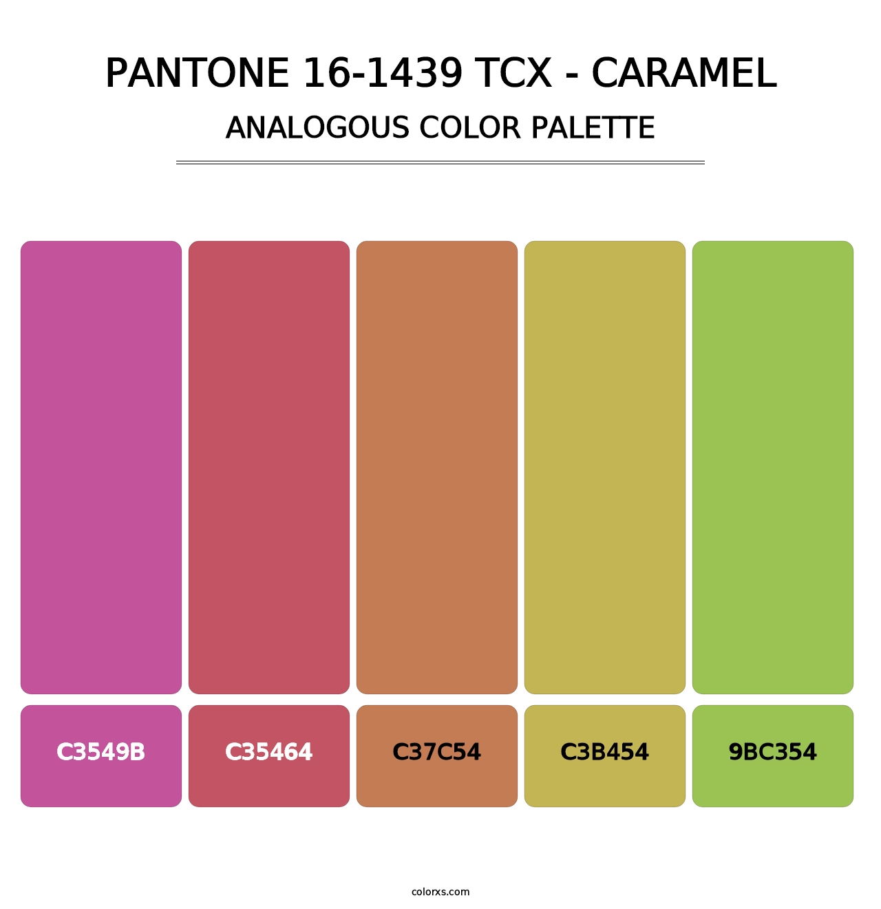 PANTONE 16-1439 TCX - Caramel - Analogous Color Palette