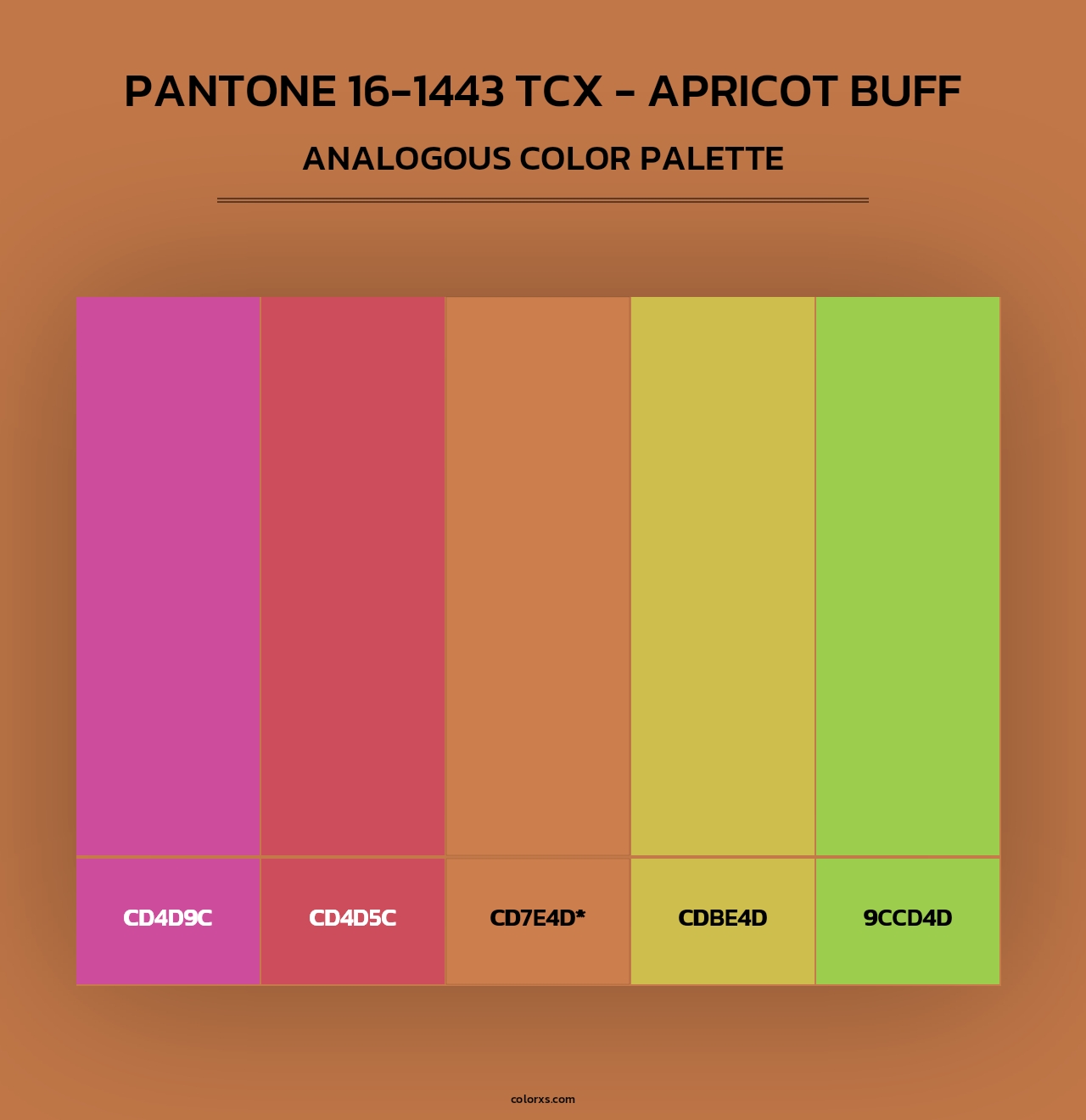 PANTONE 16-1443 TCX - Apricot Buff - Analogous Color Palette