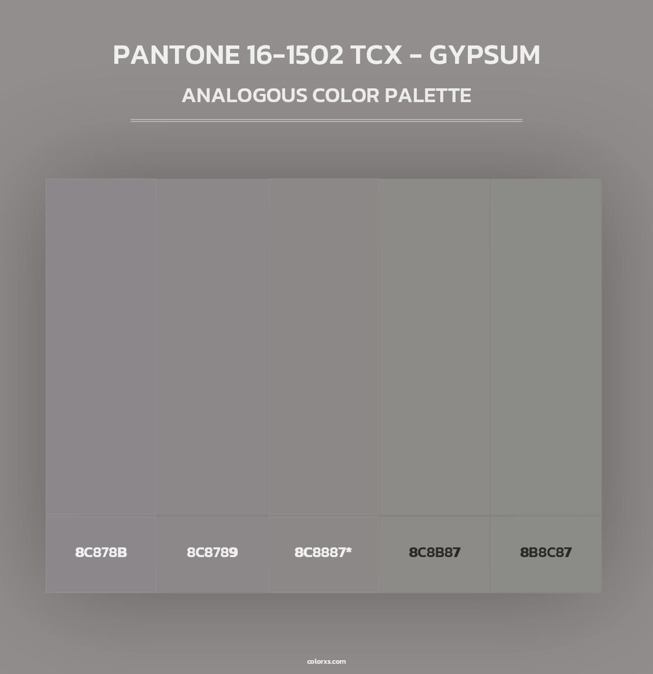 PANTONE 16-1502 TCX - Gypsum - Analogous Color Palette