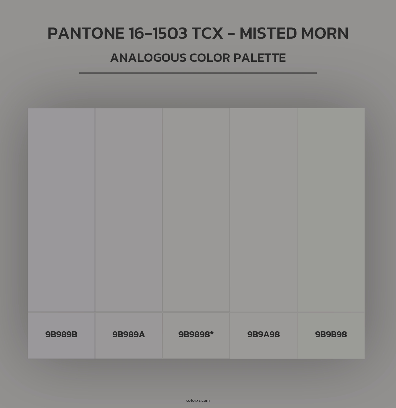 PANTONE 16-1503 TCX - Misted Morn - Analogous Color Palette