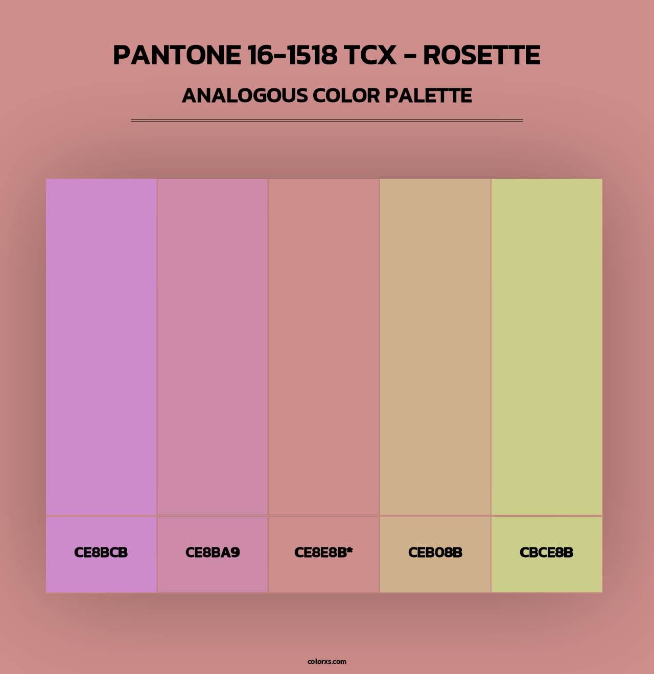 PANTONE 16-1518 TCX - Rosette - Analogous Color Palette