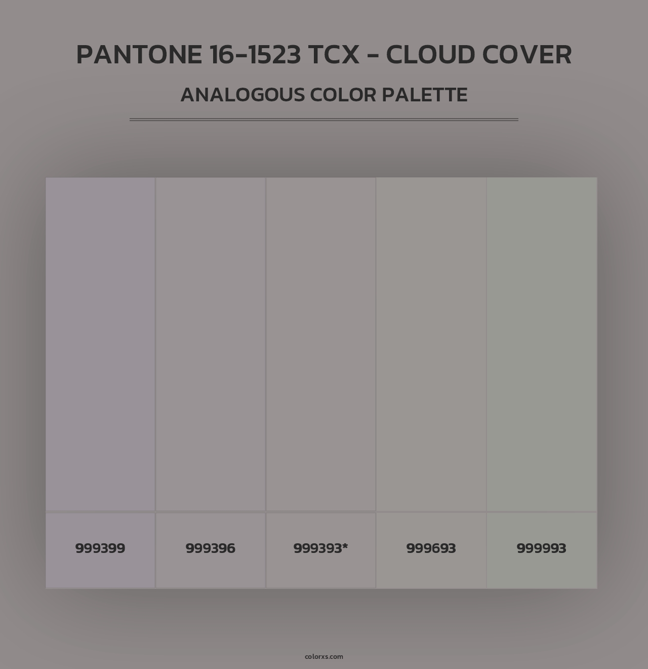 PANTONE 16-1523 TCX - Cloud Cover - Analogous Color Palette