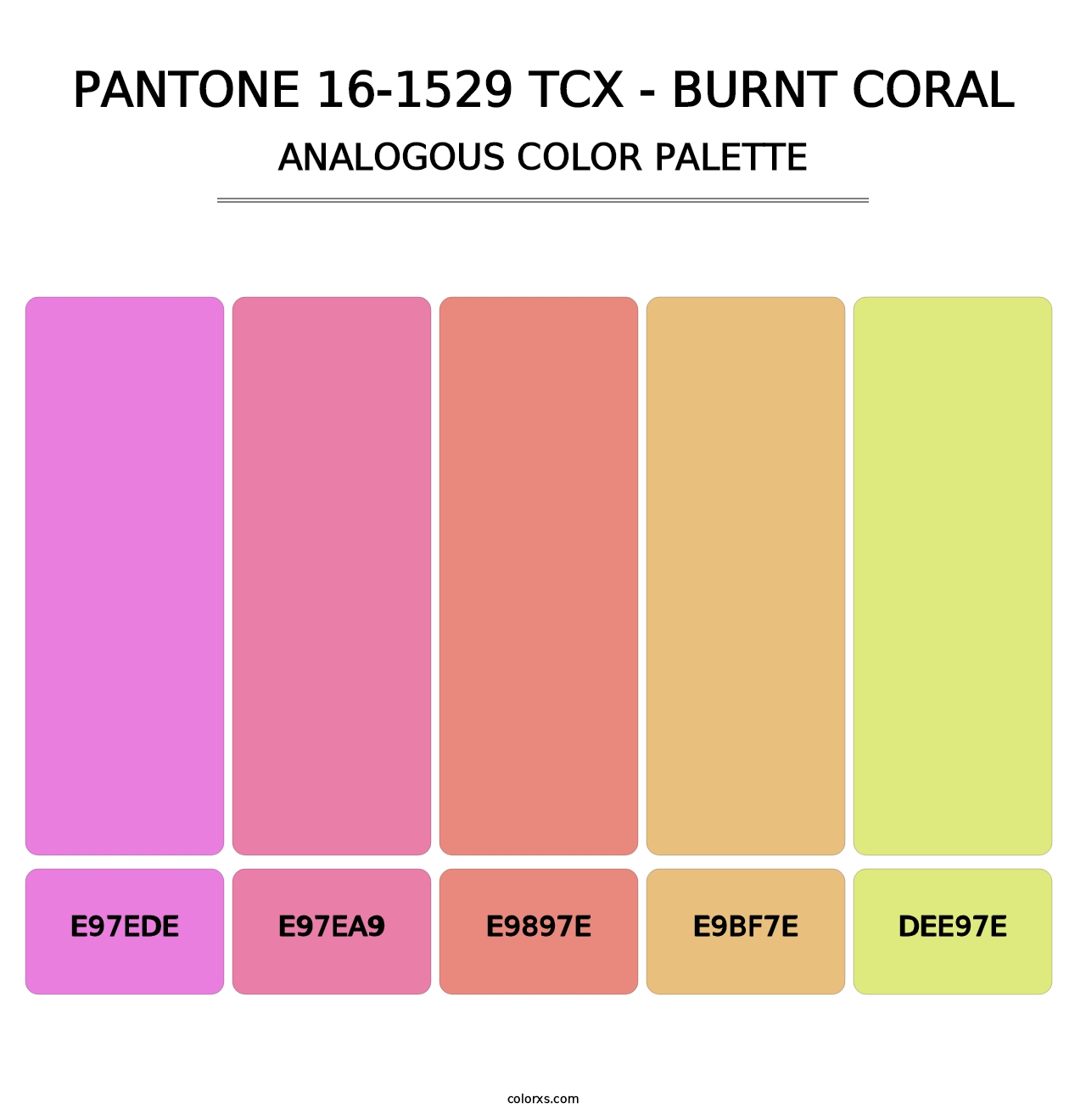 PANTONE 16-1529 TCX - Burnt Coral - Analogous Color Palette