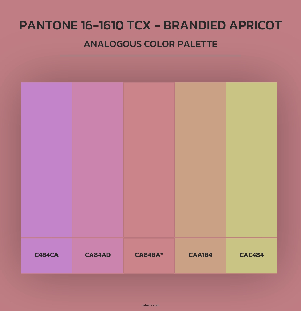 PANTONE 16-1610 TCX - Brandied Apricot - Analogous Color Palette