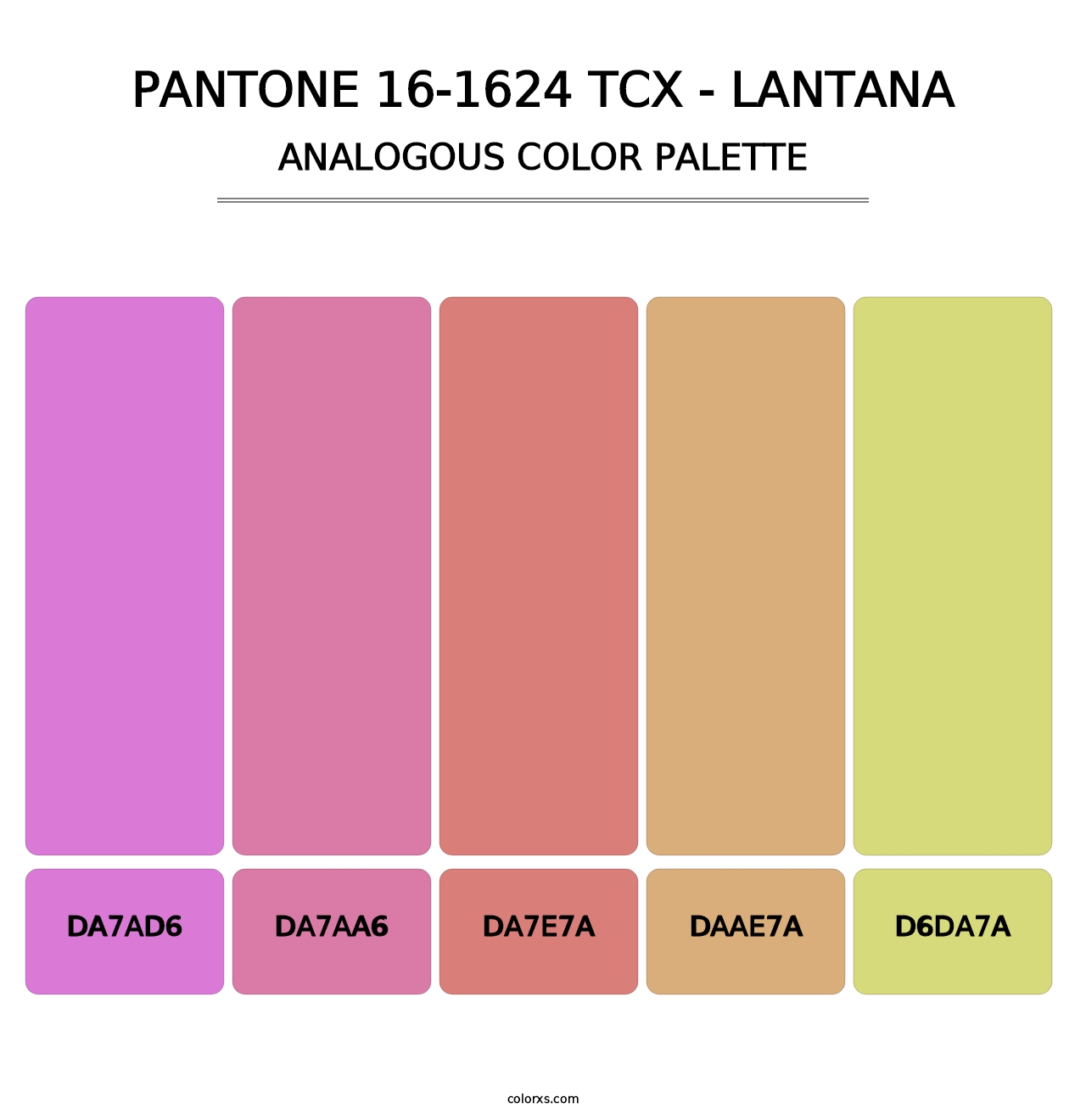 PANTONE 16-1624 TCX - Lantana - Analogous Color Palette