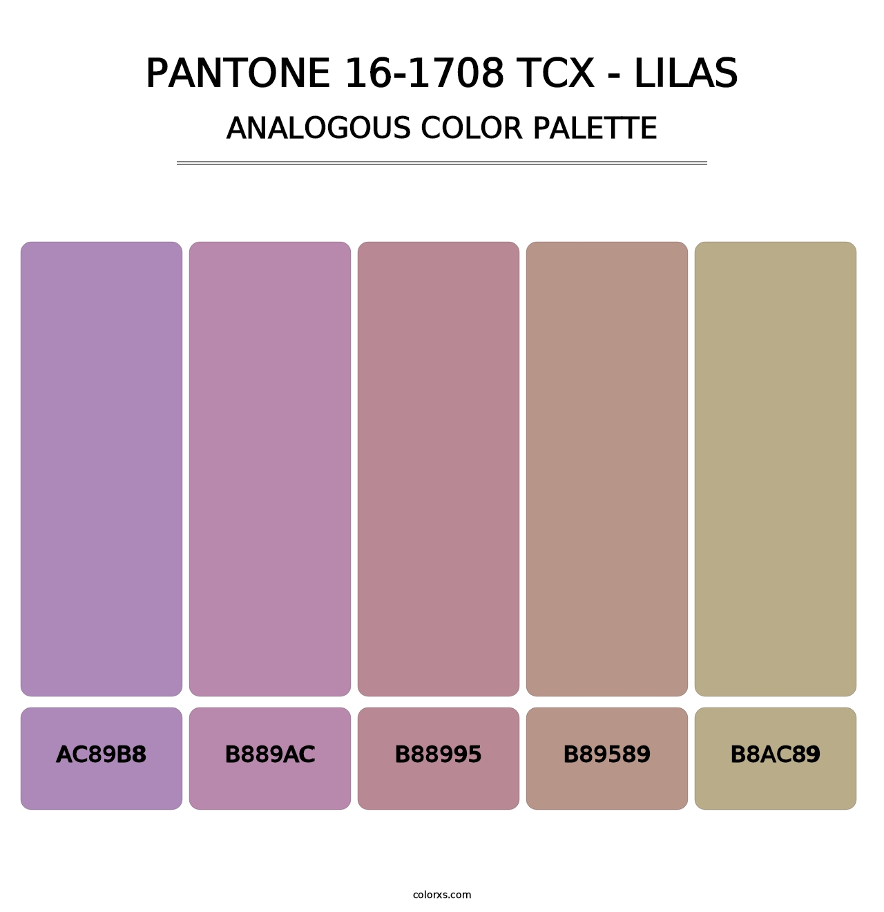PANTONE 16-1708 TCX - Lilas - Analogous Color Palette