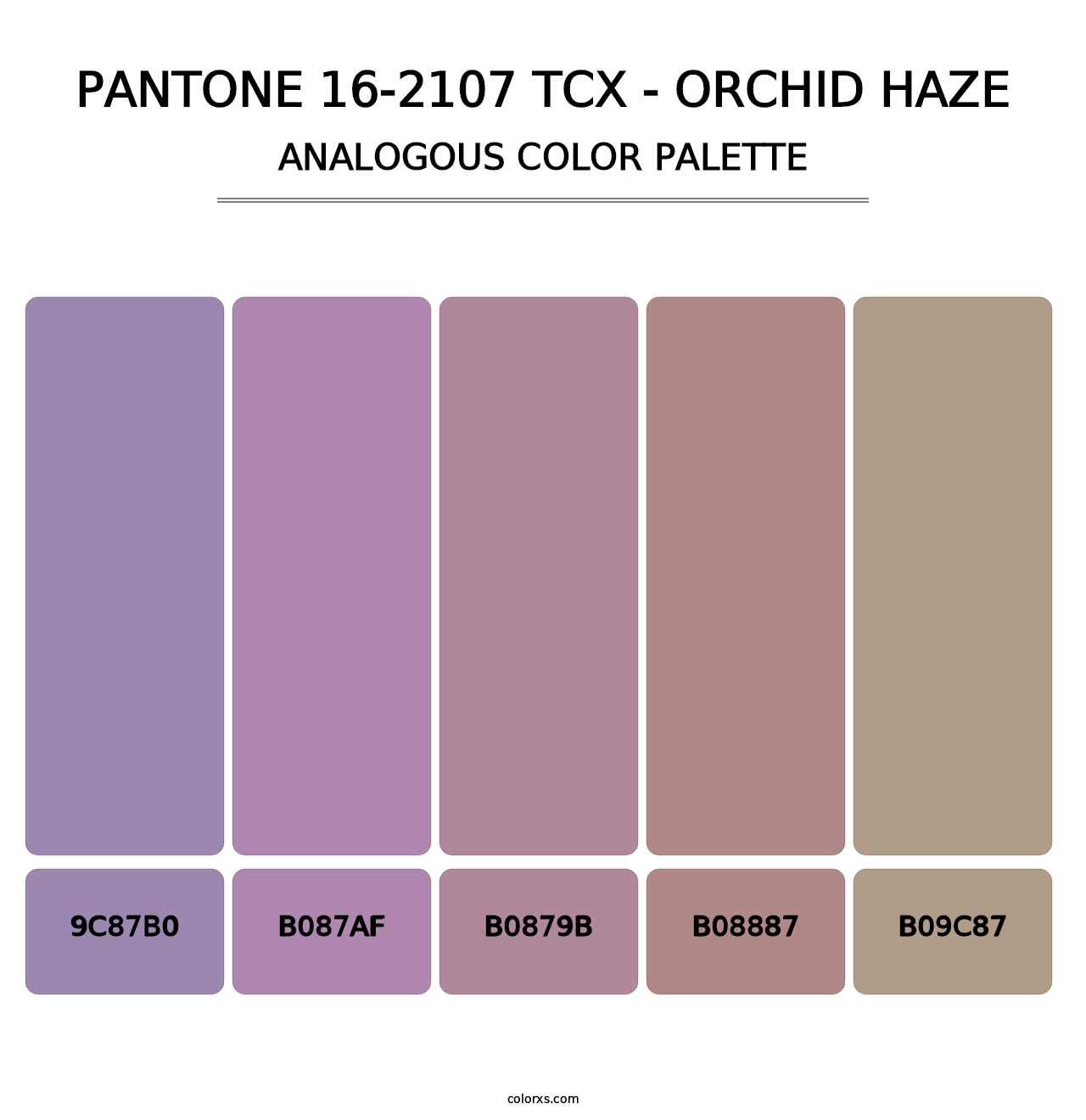 PANTONE 16-2107 TCX - Orchid Haze - Analogous Color Palette