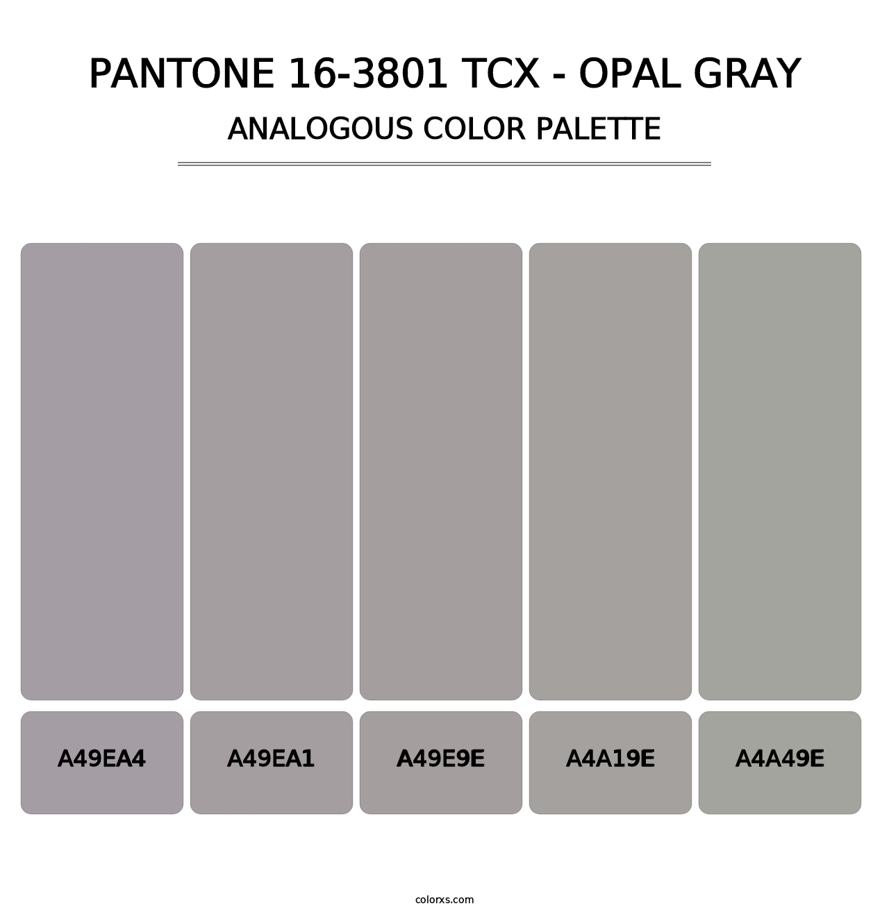 PANTONE 16-3801 TCX - Opal Gray - Analogous Color Palette
