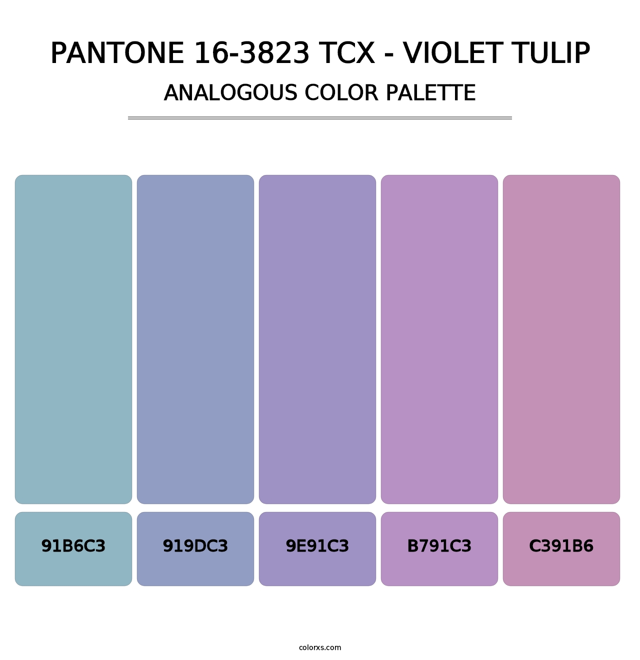 PANTONE 16-3823 TCX - Violet Tulip - Analogous Color Palette