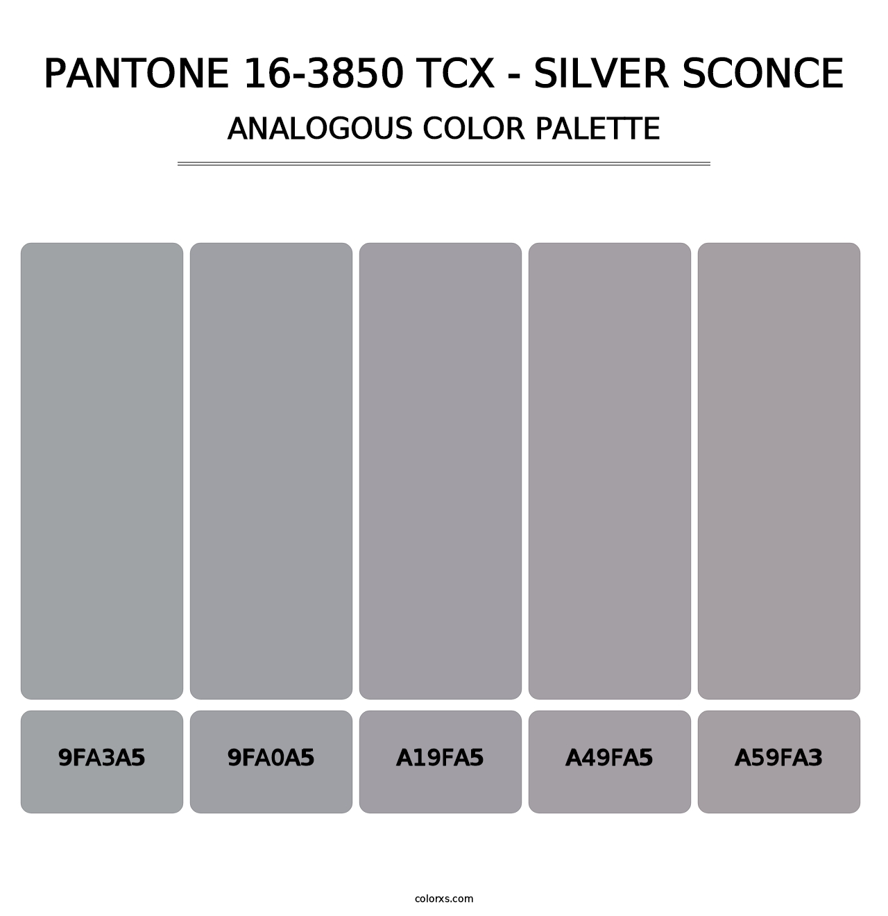 PANTONE 16-3850 TCX - Silver Sconce - Analogous Color Palette