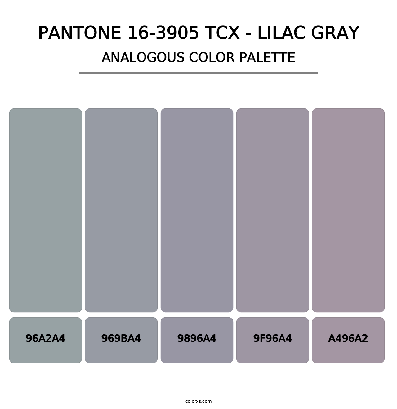 PANTONE 16-3905 TCX - Lilac Gray - Analogous Color Palette