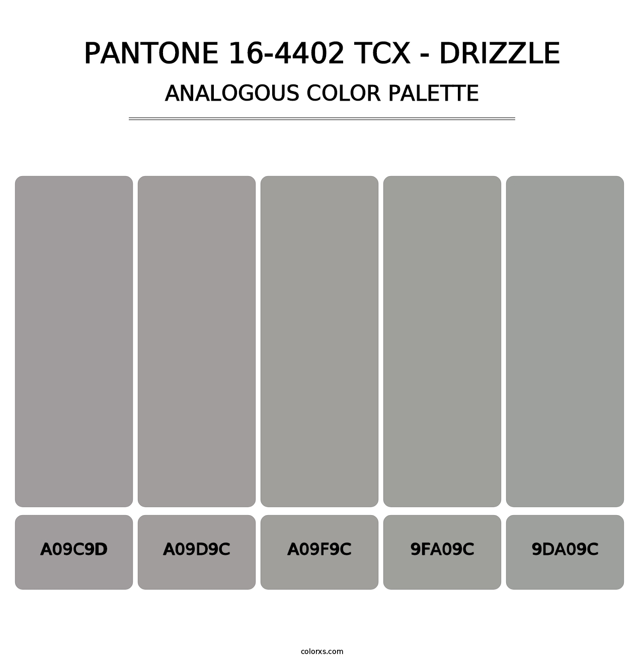 PANTONE 16-4402 TCX - Drizzle - Analogous Color Palette