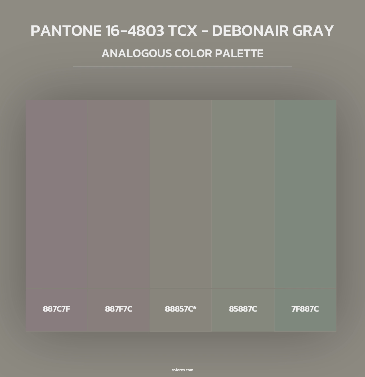 PANTONE 16-4803 TCX - Debonair Gray - Analogous Color Palette