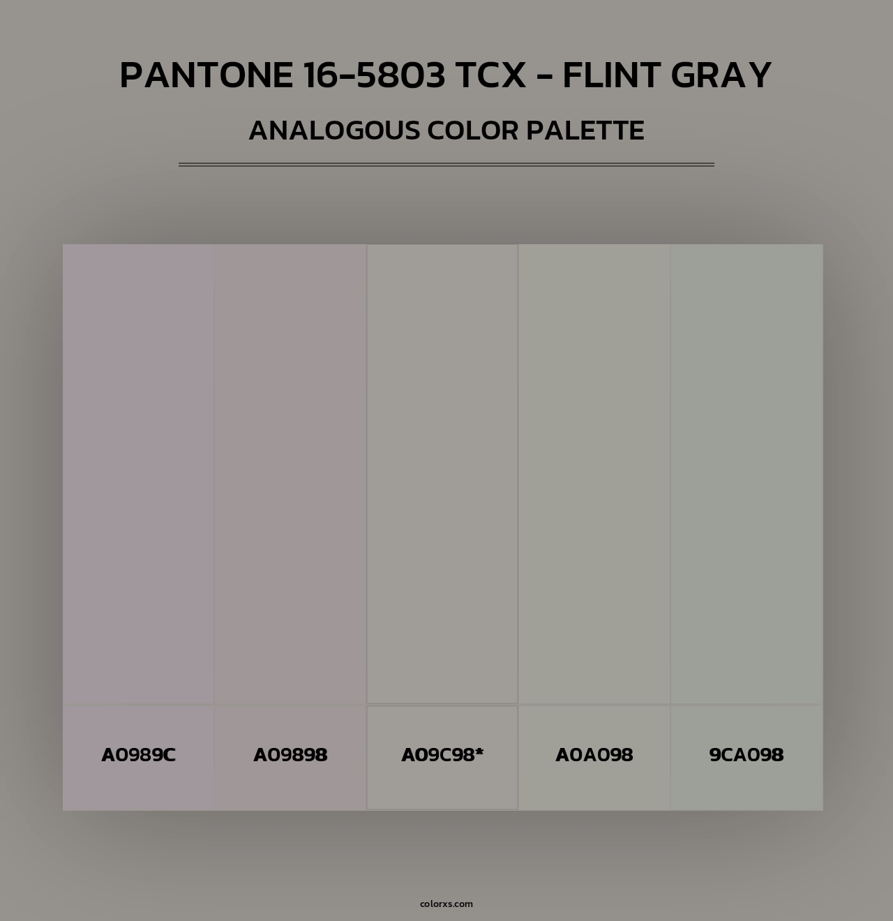 PANTONE 16-5803 TCX - Flint Gray - Analogous Color Palette