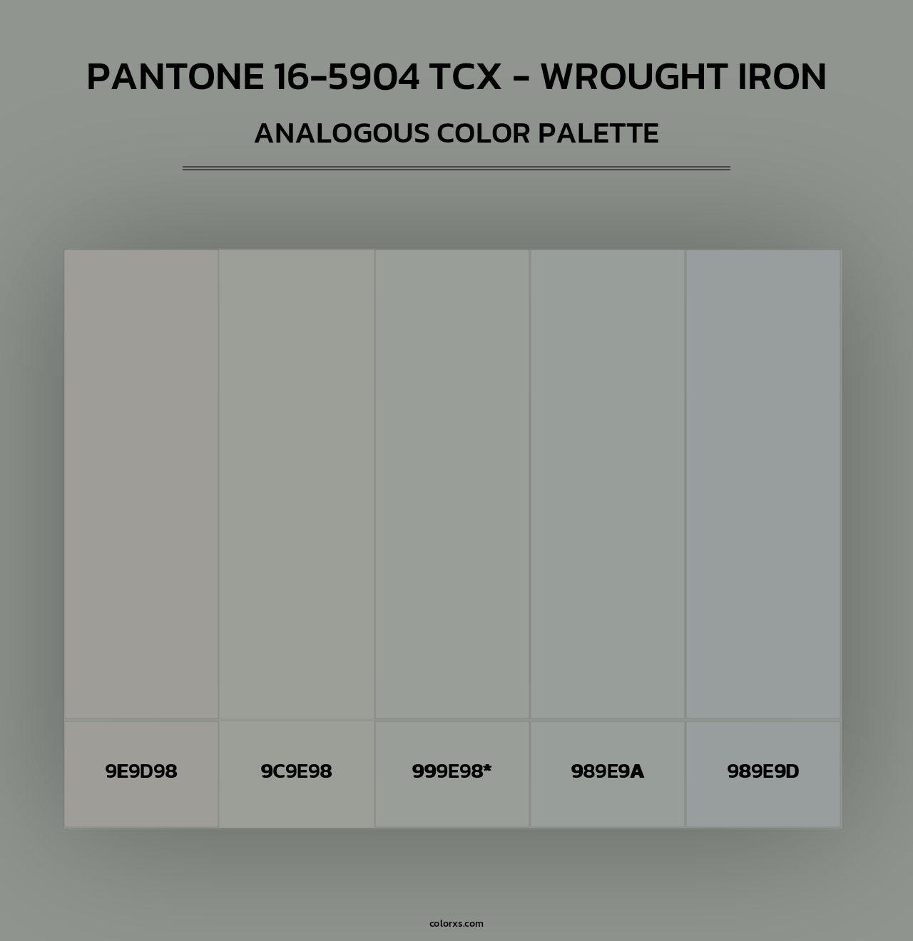 PANTONE 16-5904 TCX - Wrought Iron - Analogous Color Palette