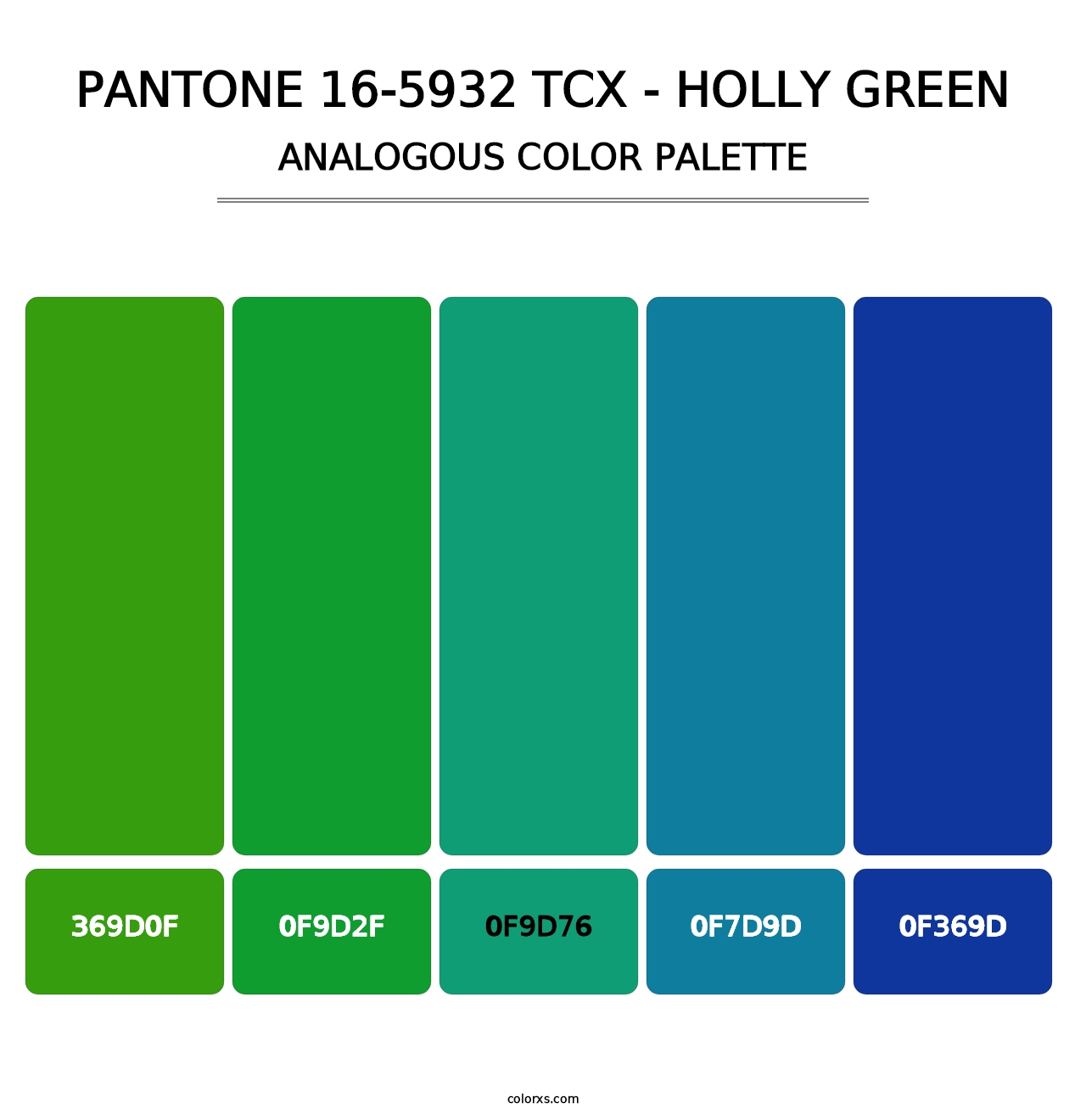 PANTONE 16-5932 TCX - Holly Green - Analogous Color Palette