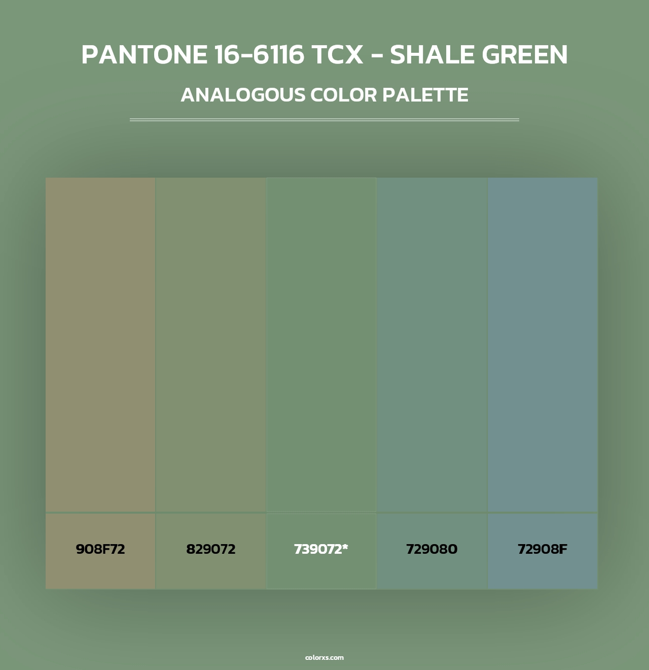 PANTONE 16-6116 TCX - Shale Green - Analogous Color Palette