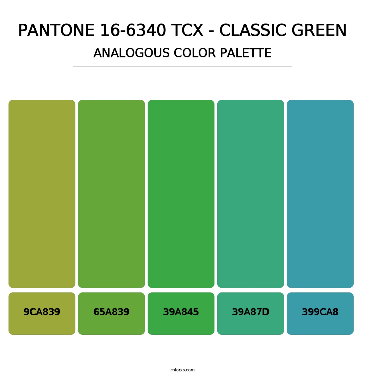 PANTONE 16-6340 TCX - Classic Green - Analogous Color Palette