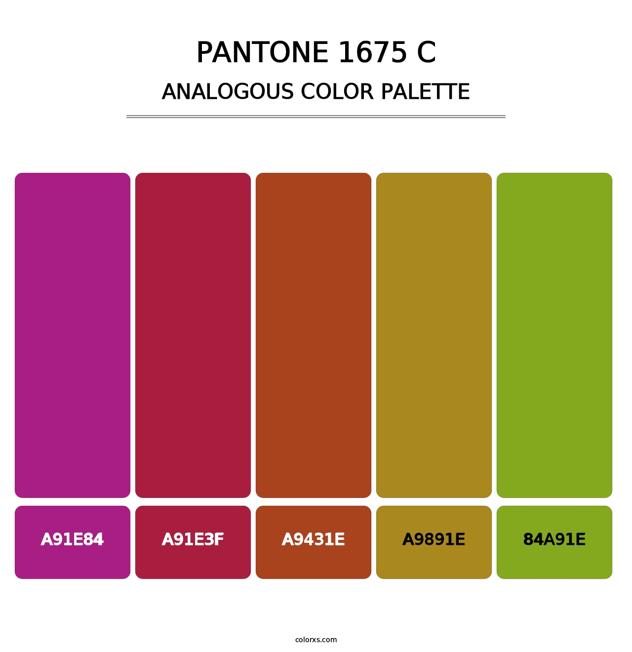 PANTONE 1675 C - Analogous Color Palette