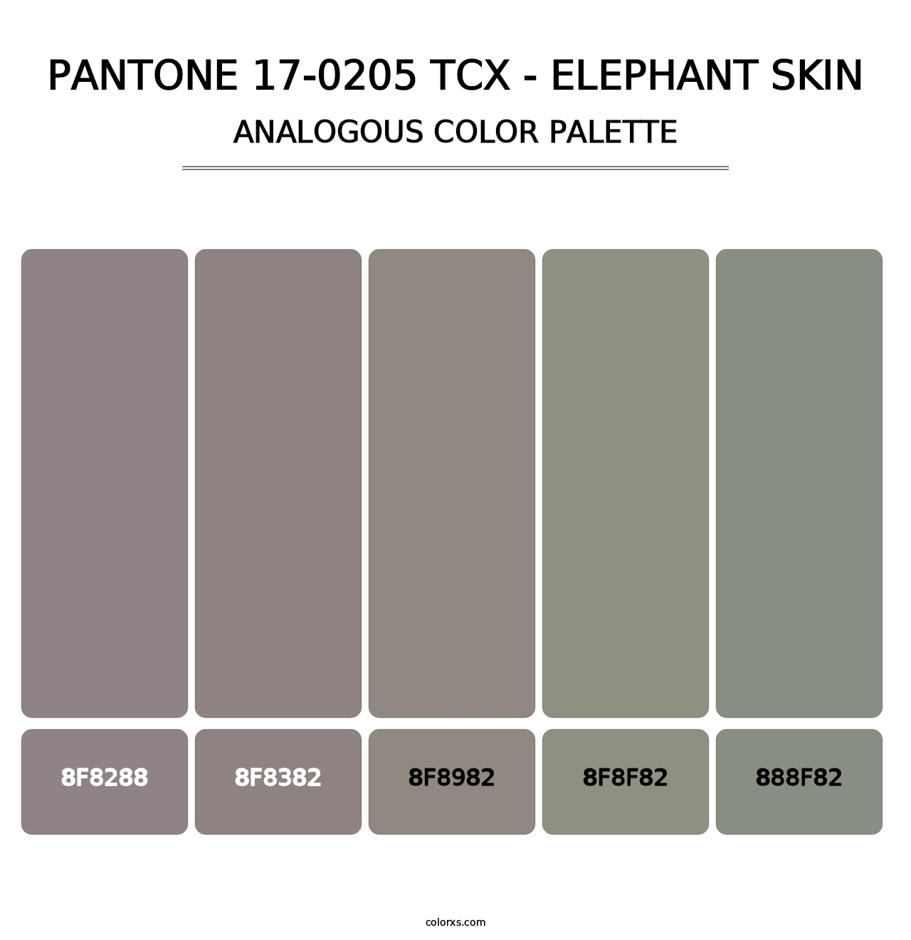 PANTONE 17-0205 TCX - Elephant Skin - Analogous Color Palette