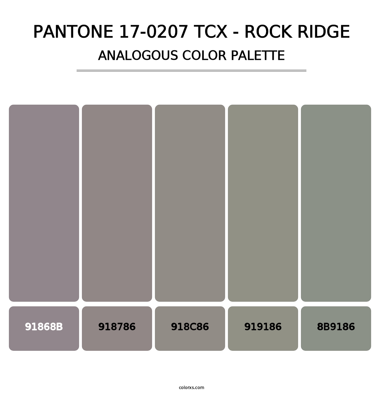 PANTONE 17-0207 TCX - Rock Ridge - Analogous Color Palette