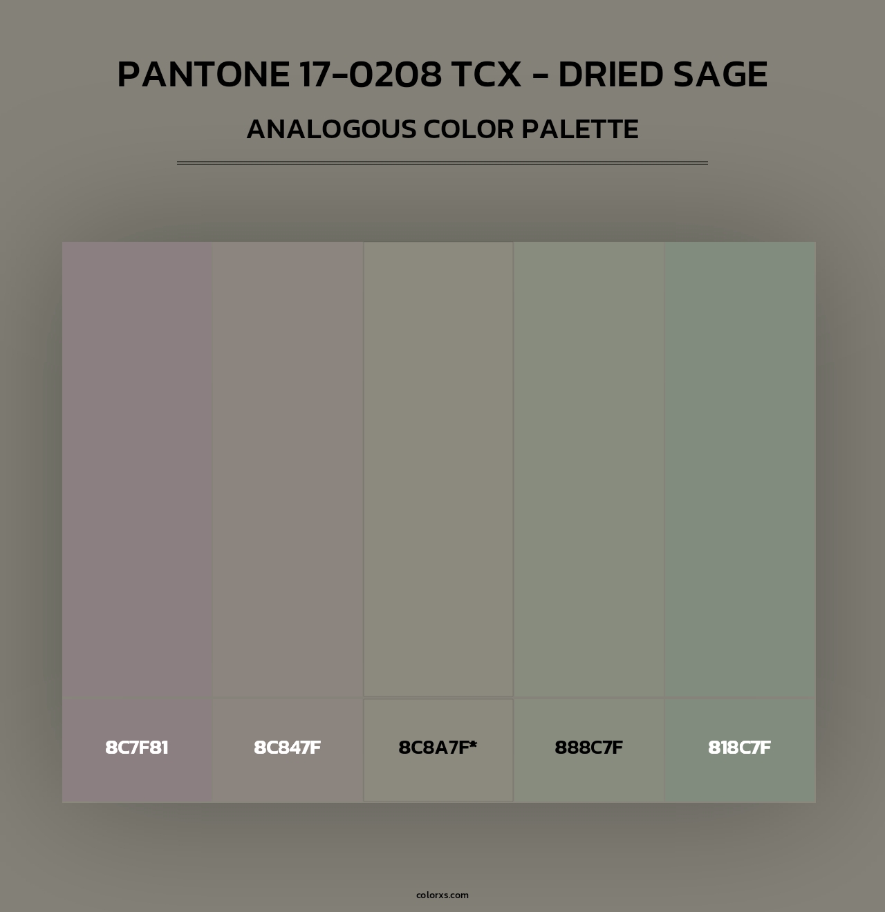 PANTONE 17-0208 TCX - Dried Sage - Analogous Color Palette