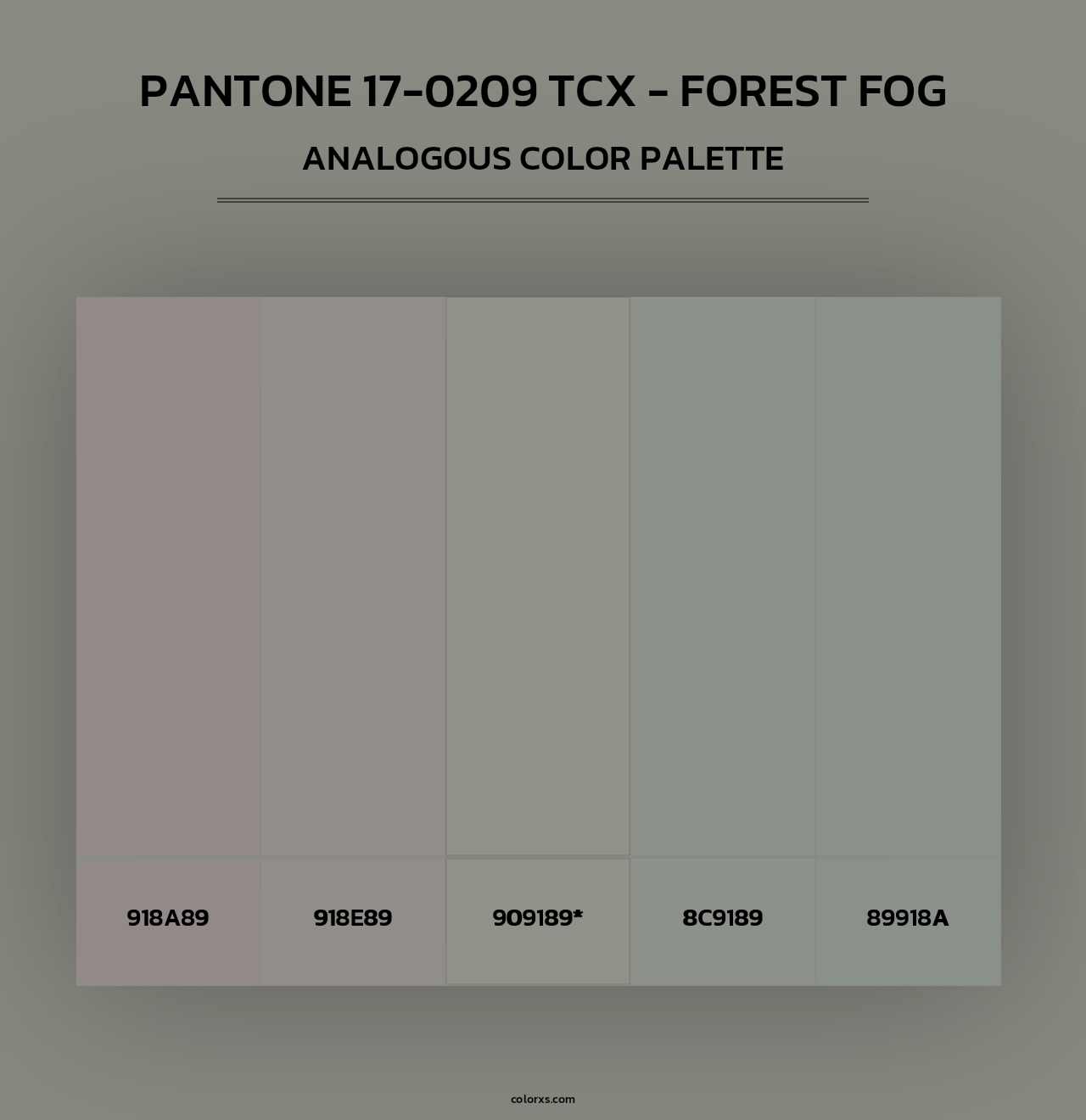 PANTONE 17-0209 TCX - Forest Fog - Analogous Color Palette