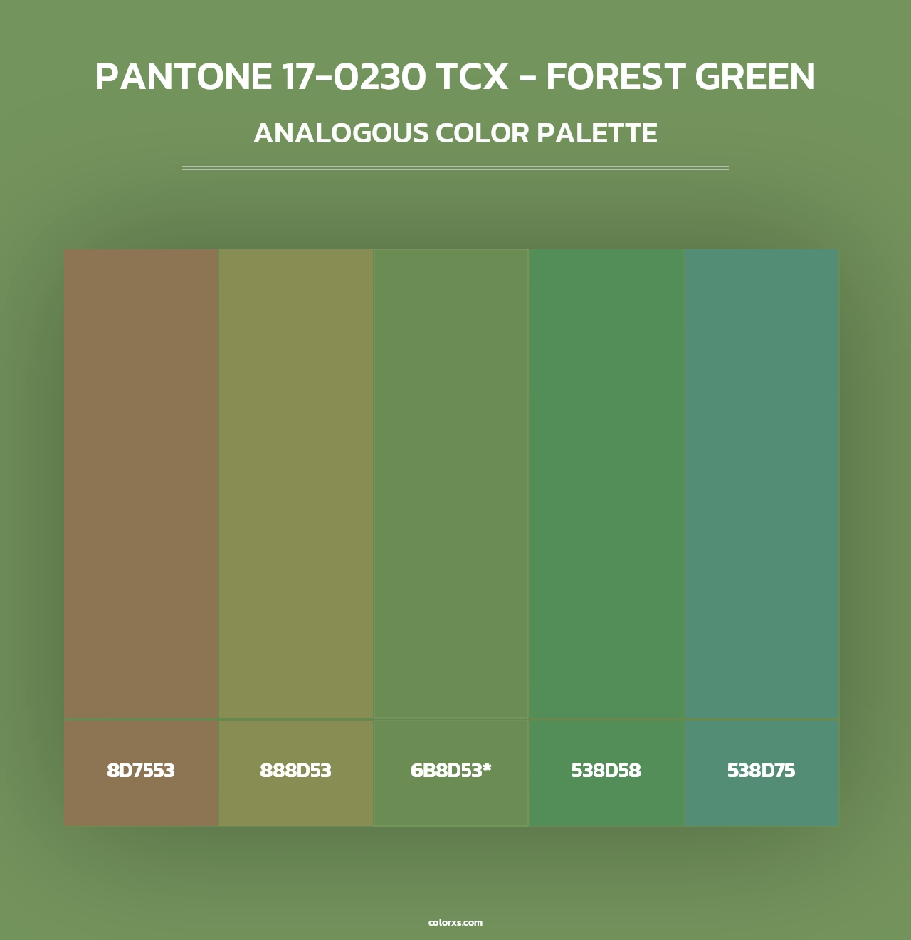 PANTONE 17-0230 TCX - Forest Green - Analogous Color Palette