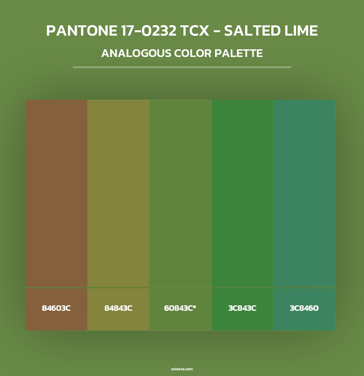 PANTONE 17-0232 TCX - Salted Lime - Analogous Color Palette