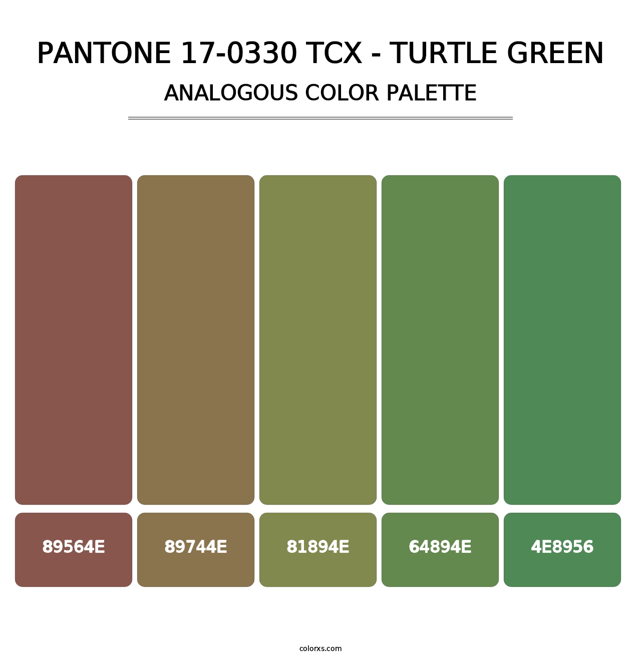PANTONE 17-0330 TCX - Turtle Green - Analogous Color Palette