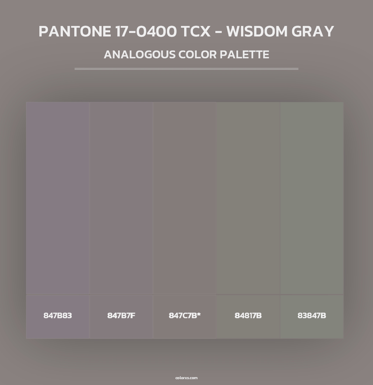 PANTONE 17-0400 TCX - Wisdom Gray - Analogous Color Palette