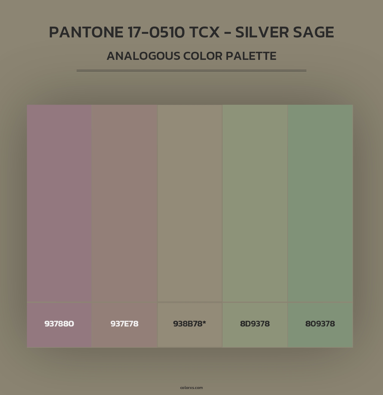 PANTONE 17-0510 TCX - Silver Sage - Analogous Color Palette