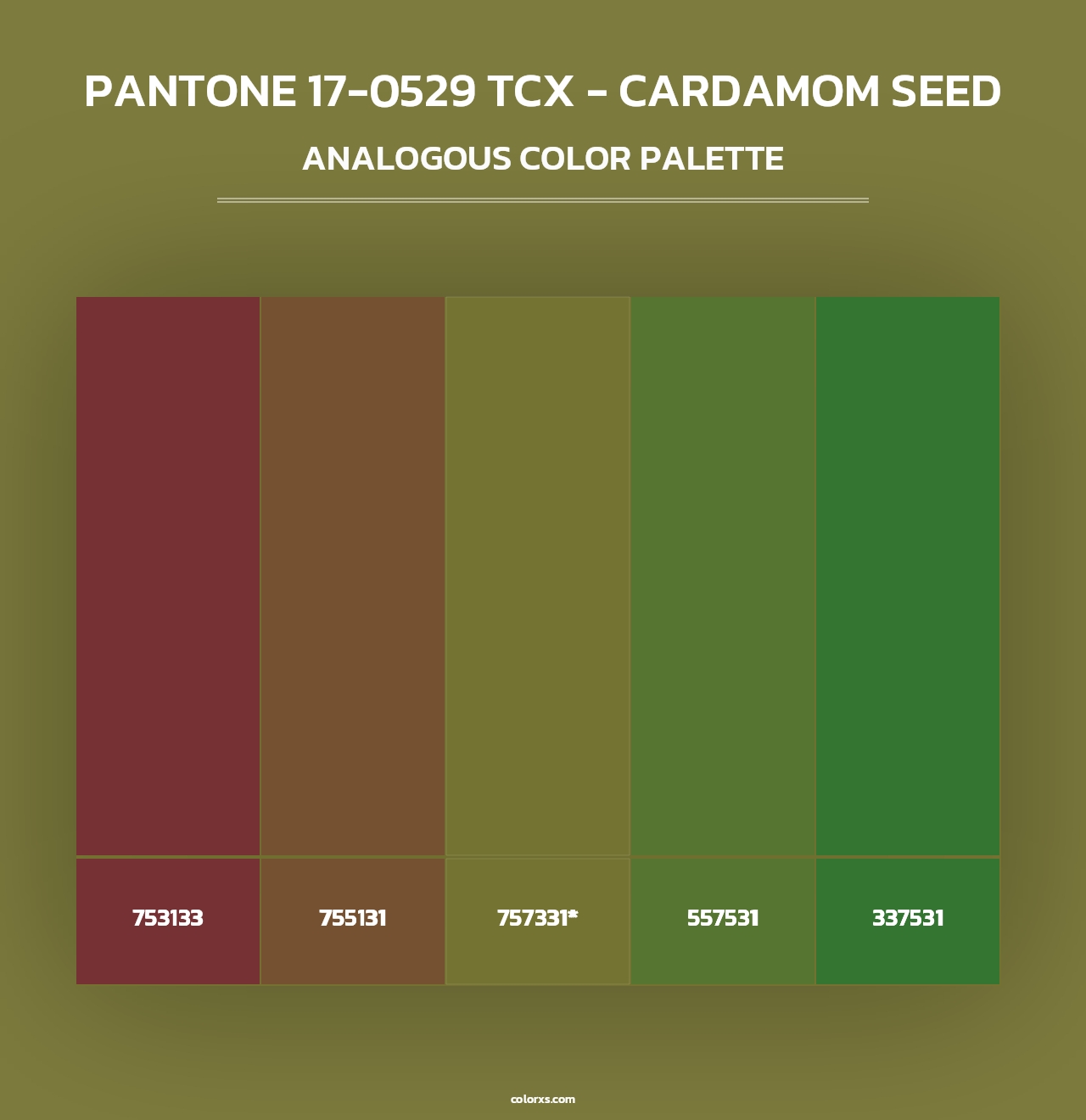 PANTONE 17-0529 TCX - Cardamom Seed - Analogous Color Palette