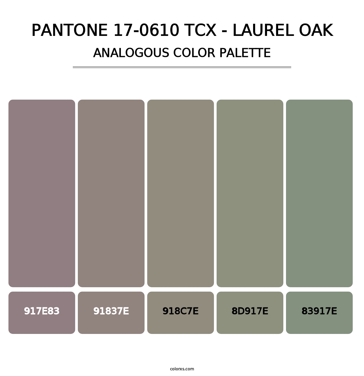 PANTONE 17-0610 TCX - Laurel Oak - Analogous Color Palette