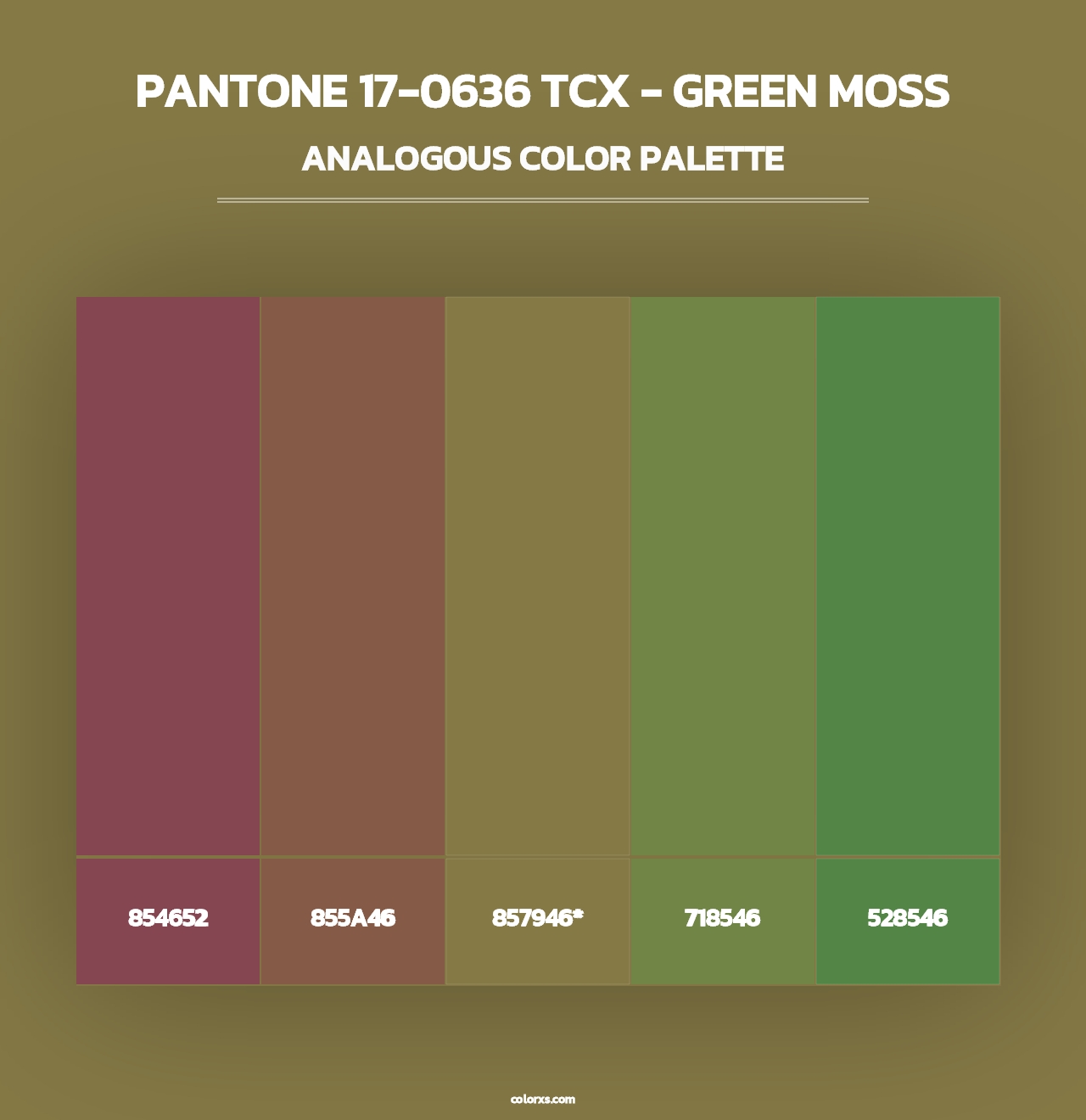 PANTONE 17-0636 TCX - Green Moss - Analogous Color Palette