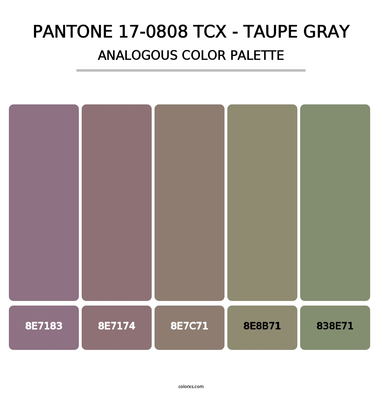 PANTONE 17-0808 TCX - Taupe Gray - Analogous Color Palette